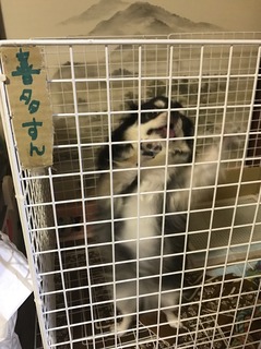 すん.jpg
