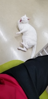 たろう.jpg
