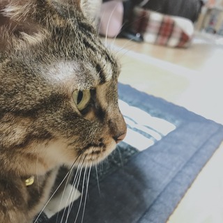 つーちゃん.jpeg