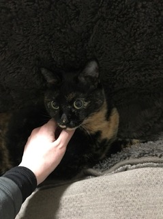 まー.jpg