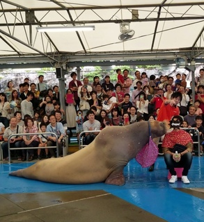 チュー.jpg
