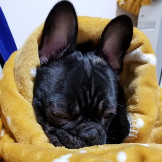 寝るとき.jpg
