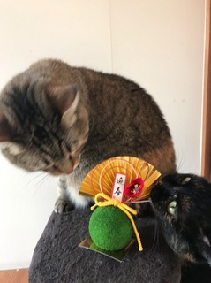 年賀つくしまだら.jpg