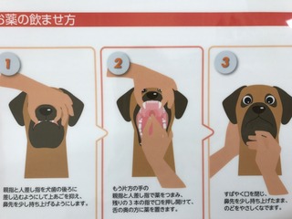 薬.jpg