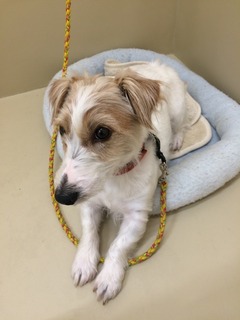 attachment00.jpg 12.jpg