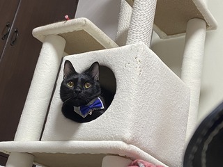 image1.jpeg